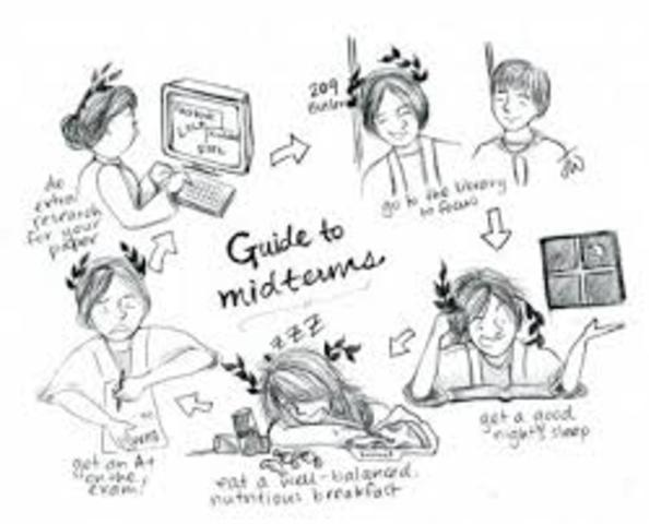 Program Assessment - Mid Term