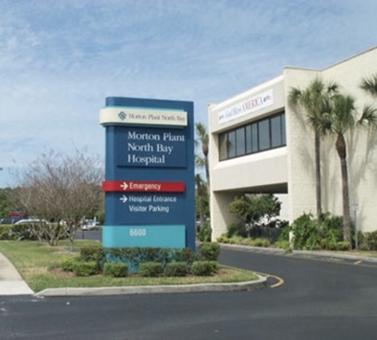 Nací en Clearwater Florida