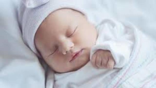 Me hermano nació en Florida