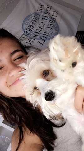 Obtuve mi perro Nibbles