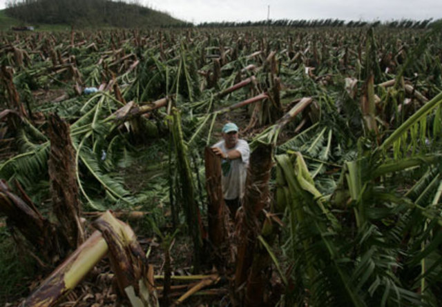 Cyclone Larry hits North Queensland