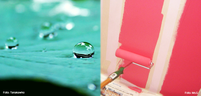 Pintura que repele el agua y la suciedad como la flor de loto