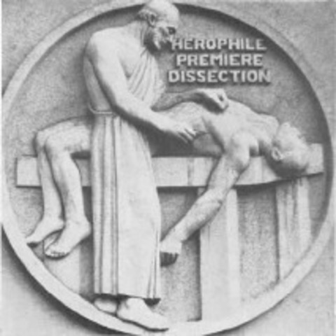 Herófilo, fundador de la anatomía