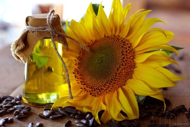 Sunflower oil extraction