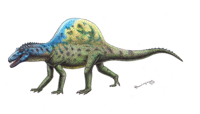 Xilousuchus
