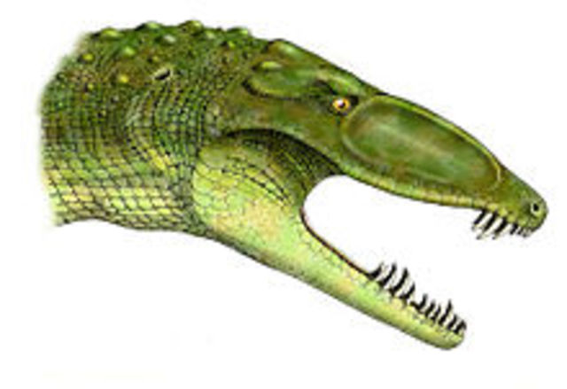 Erpetosuchus