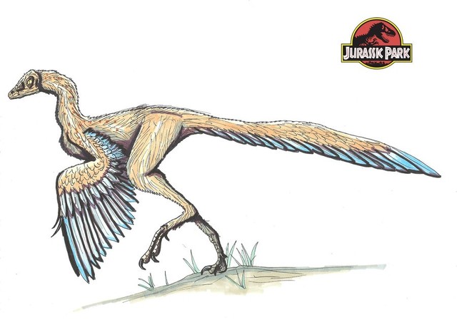 Archaeopteryx