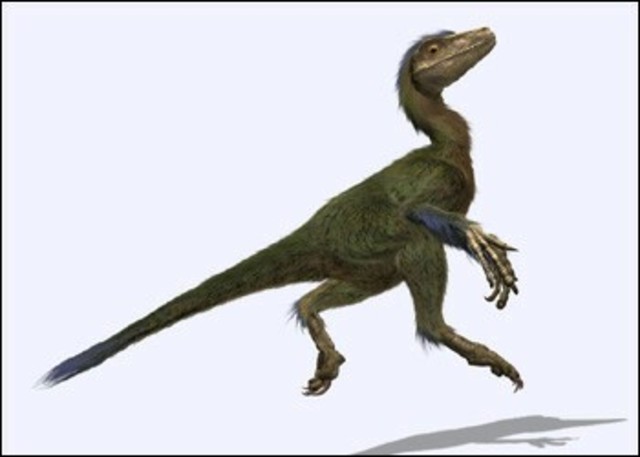 Dromaeosaurs