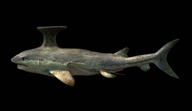 The Carboniferous Era