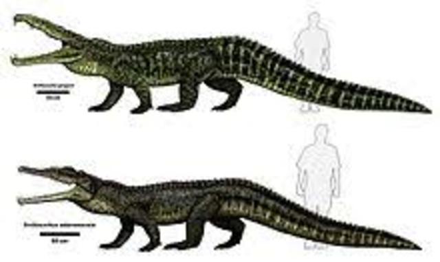 Phytosaurs