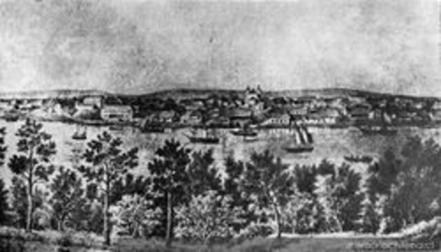 La colonizacion alemania