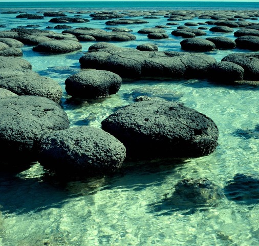 Orogeny, Earth Becomes Oxygenic, Sandstone, Stromatolites