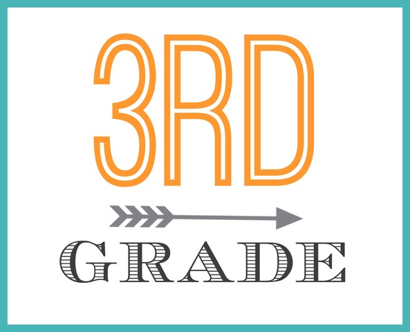 3rd grade