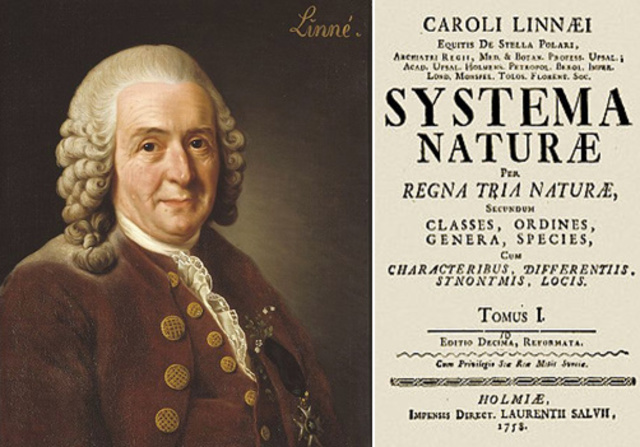 Systema naturæ