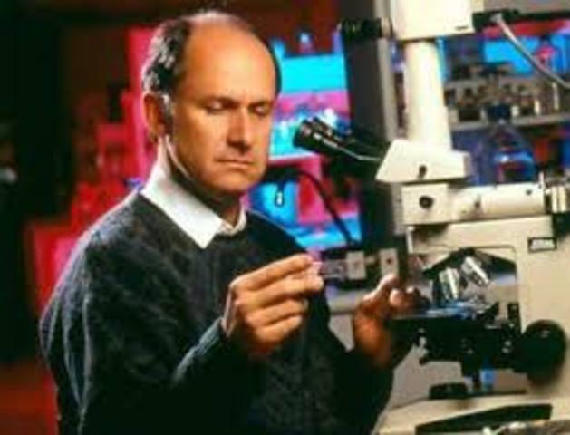 Experimentación con primates y controversia