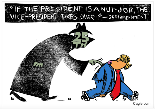 25th Amendment