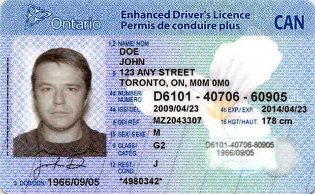 Get a G2 licence
