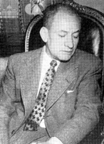 La bandera en el frio