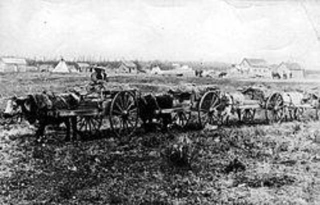 Immigration to the Prairies (Dominion Lands Act)