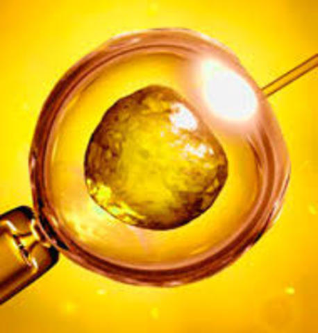 Fecundación animal in vitro