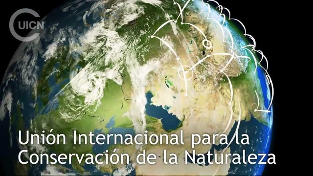 Unión Internacional para la Protección de la Naturaleza. Fontainebleau ,París