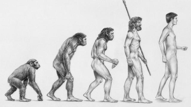 Teoría de la evolución Charles Darwin