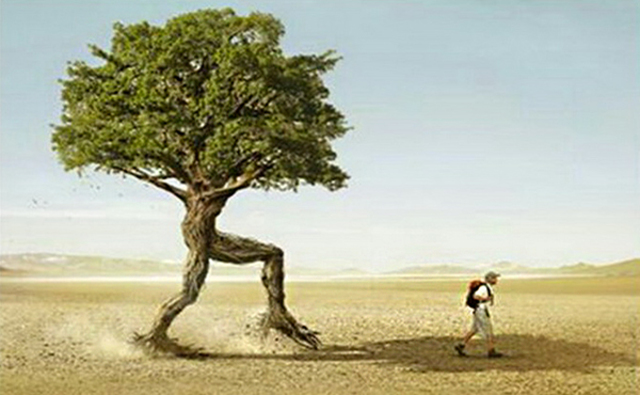 1-Anzieu (1975) 2-Kaës (1976)