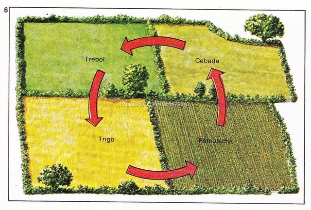 Rotacion de cultivos