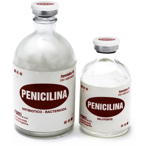 PENICILINA