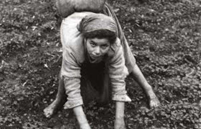 Verga scrive "Nedda"