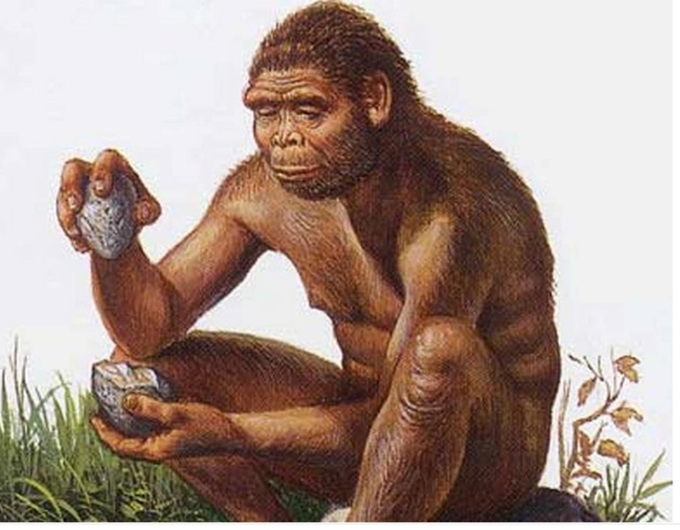 Aparición del Homo sapiens