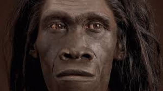 Homo Erectus (70 000 años)