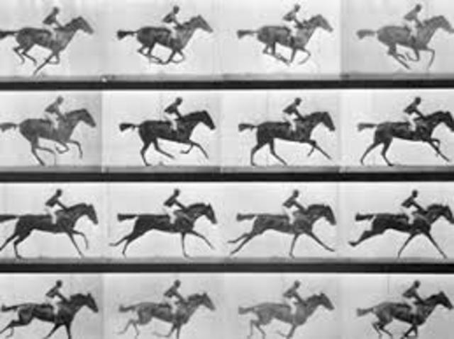 La cronofotografía (mediante el estudio del galope de un caballo)