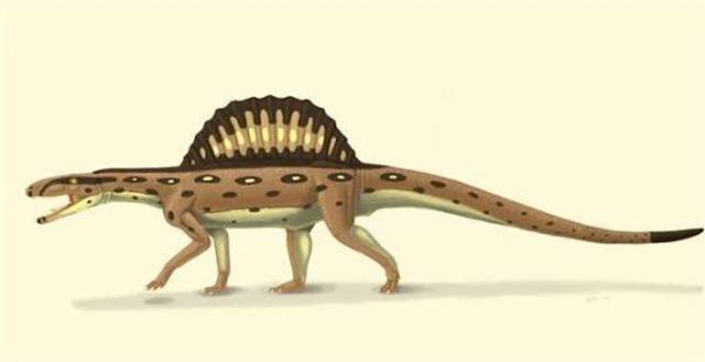 Xilousuchus