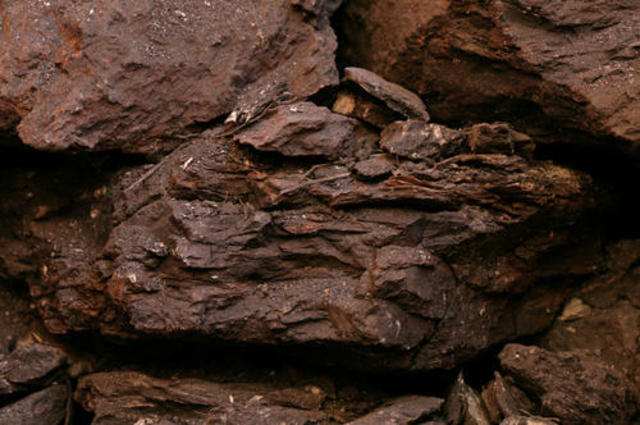 Swamps, Rivers, Lakes Form the Badlands. Lignite