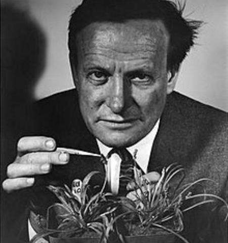 George Ledyard Stebbins