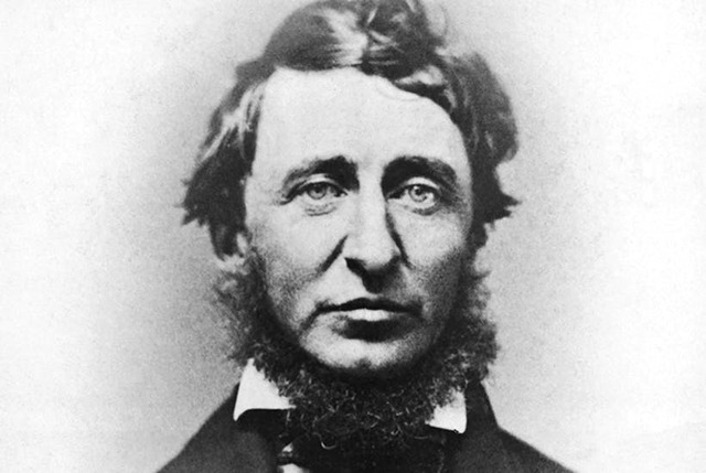 Influential individuals such as Thoreau and Muir write books on conservations