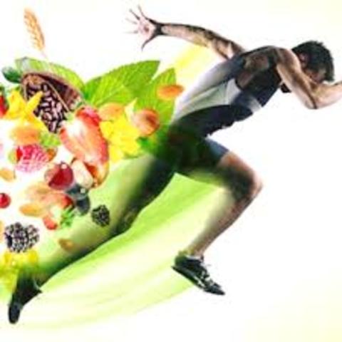 Estudios científicos sobre la dieta deportiva