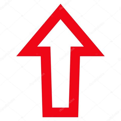 Mi ida del Nuevo Bolivar