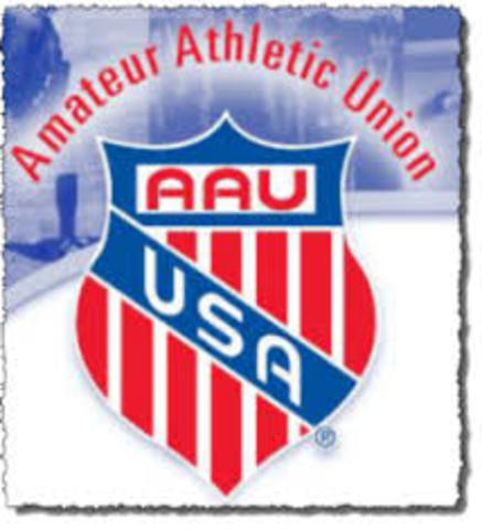 Gymnastics in the USA