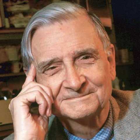 Perspectiva evolutiva/socio.biologica - E.O Wilson