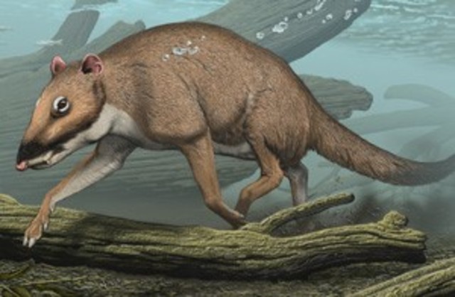 Indohyus (49 million years ago)
