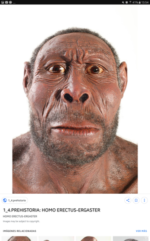 Aparición del Homo erectus