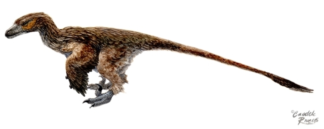 Dromeosaurids