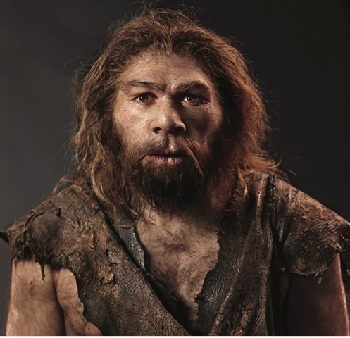 Aparición del Homo neaderthalensis