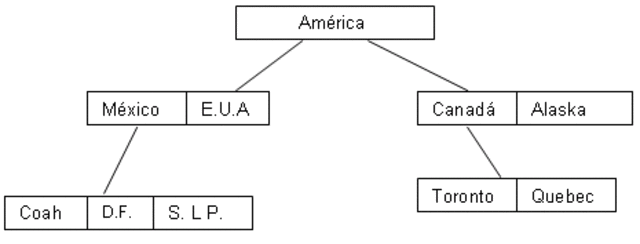 BASES DE DATOS JERÁRQUICAS Y DE RED