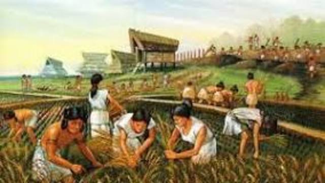 The Neolithic Revolution