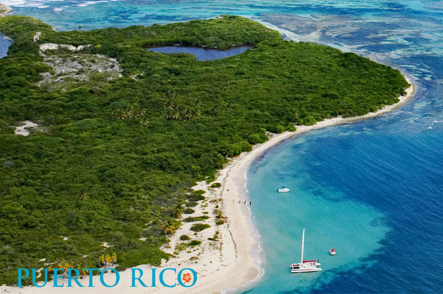 Bruce/Marcos in born Puerto rico fajardo