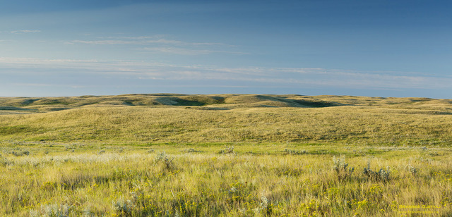 Origin of the Praries