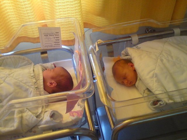 נולדו האחים שלי